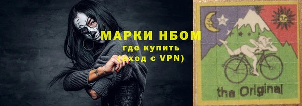 хмурый Арсеньев