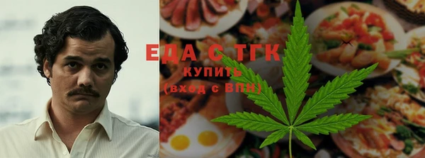 хмурый Арсеньев