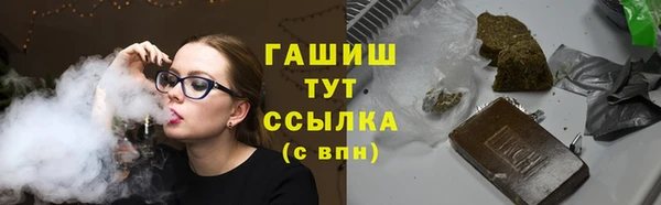 хмурый Арсеньев