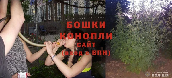 сатива Армянск