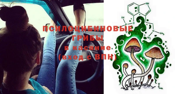 хмурый Арсеньев