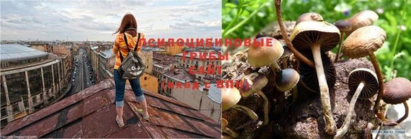 скорость Аркадак