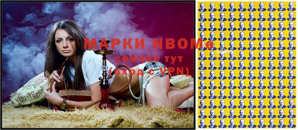 хмурый Арсеньев