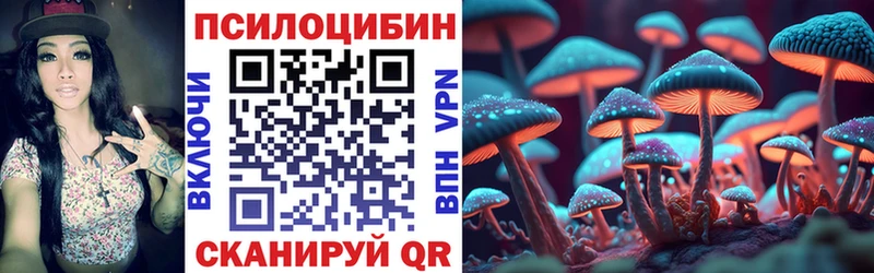 сколько стоит  hydra зеркало  Псилоцибиновые грибы Magic Shrooms  Видное 